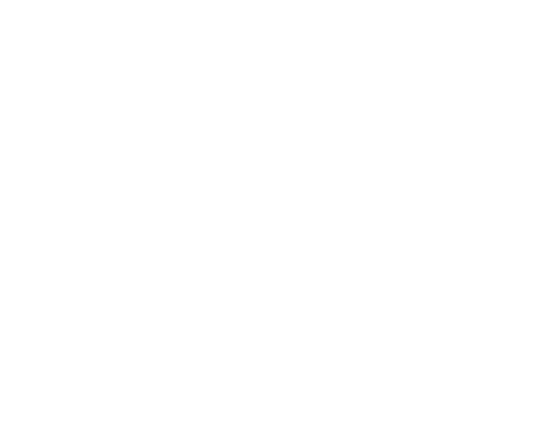 Donald Takayama Bird Logo white outline